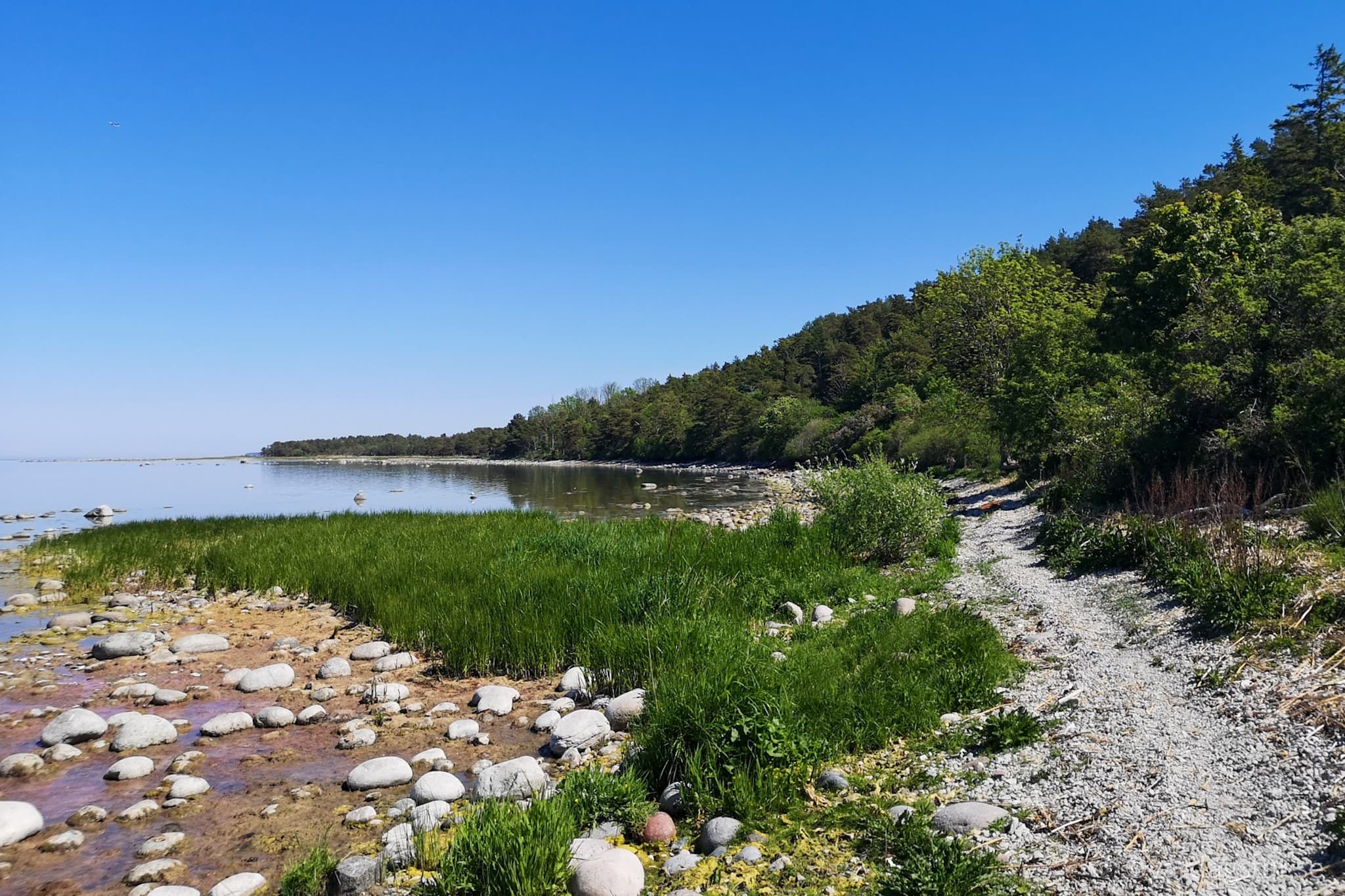 wp-16511686232163161307604180660483