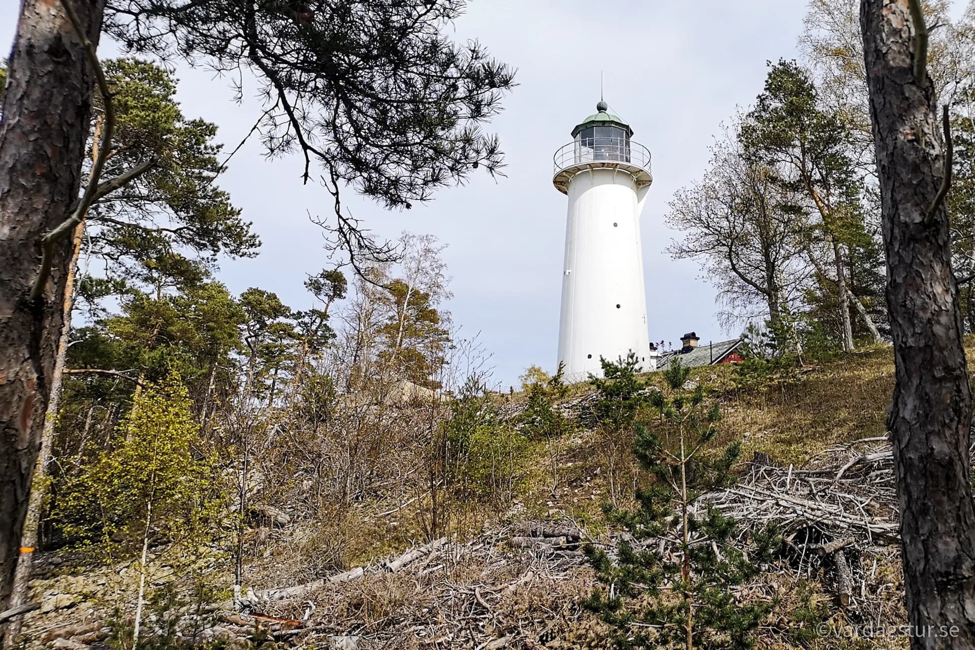 wp-16511686233916446190133353679048