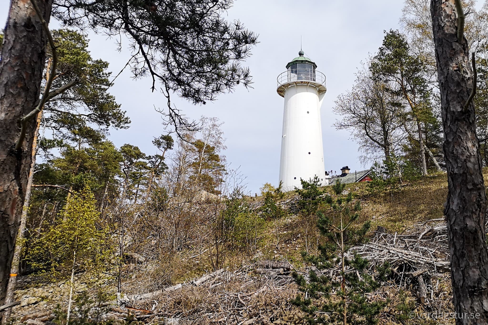 wp-16511686233916446190133353679048