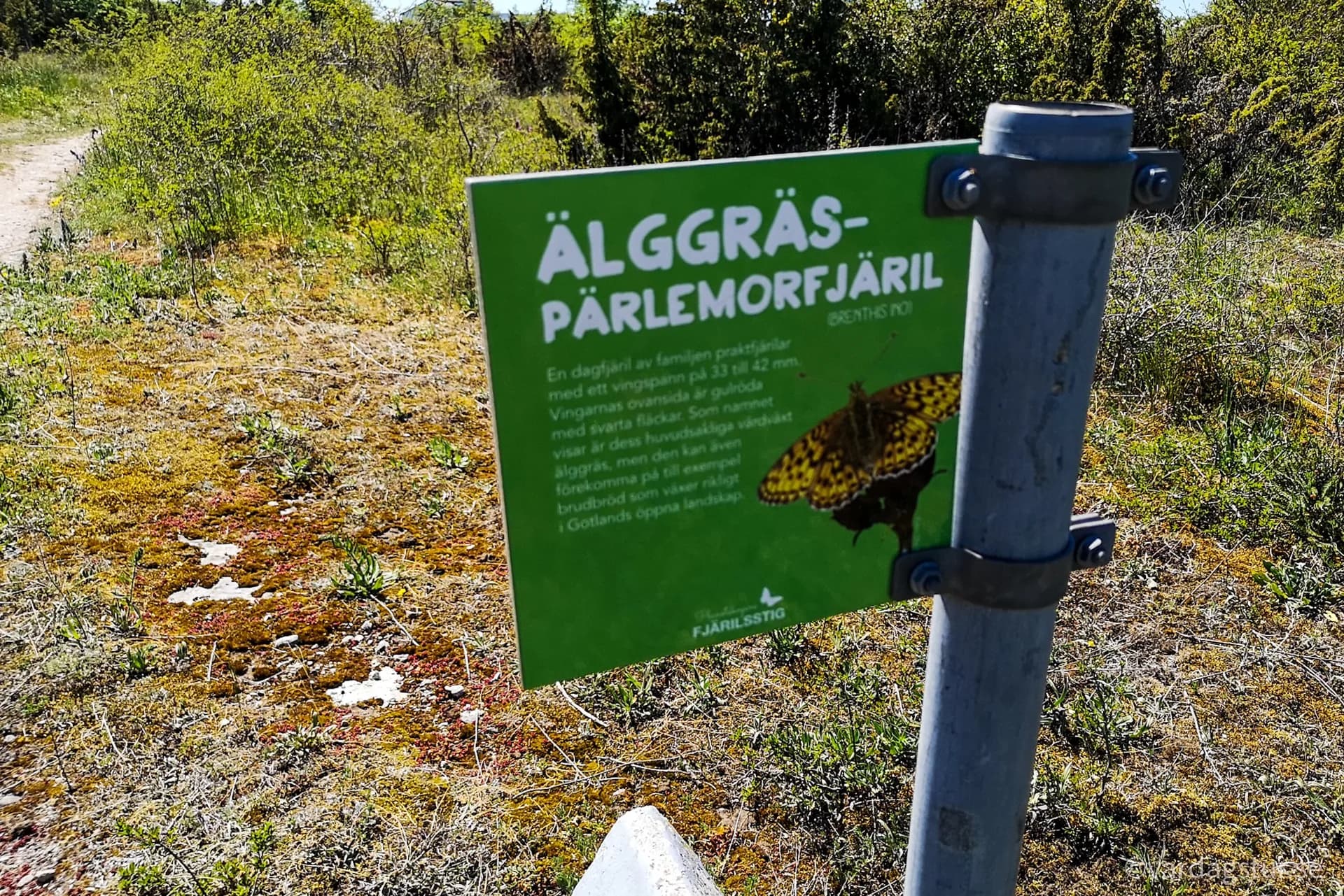 wp-1651168625085411895279223743333