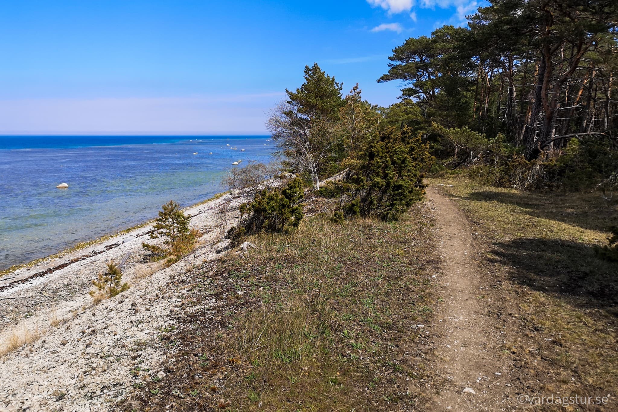 wp-16511686254624464189406259007570