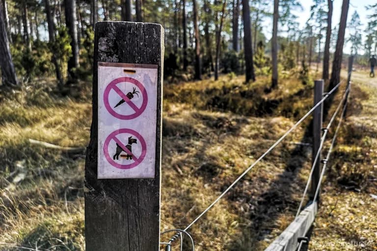 wp-16511687005025281880203407776078