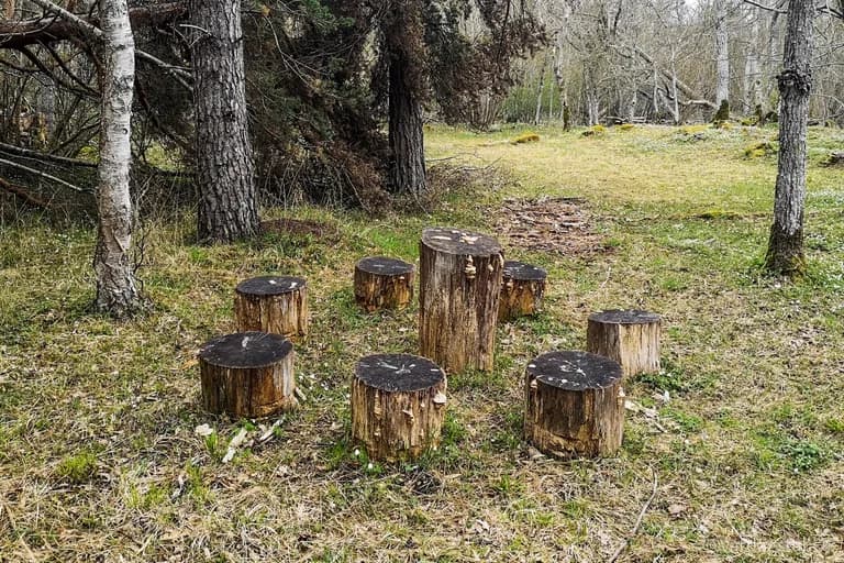 wp-16511687002518482148279093214779