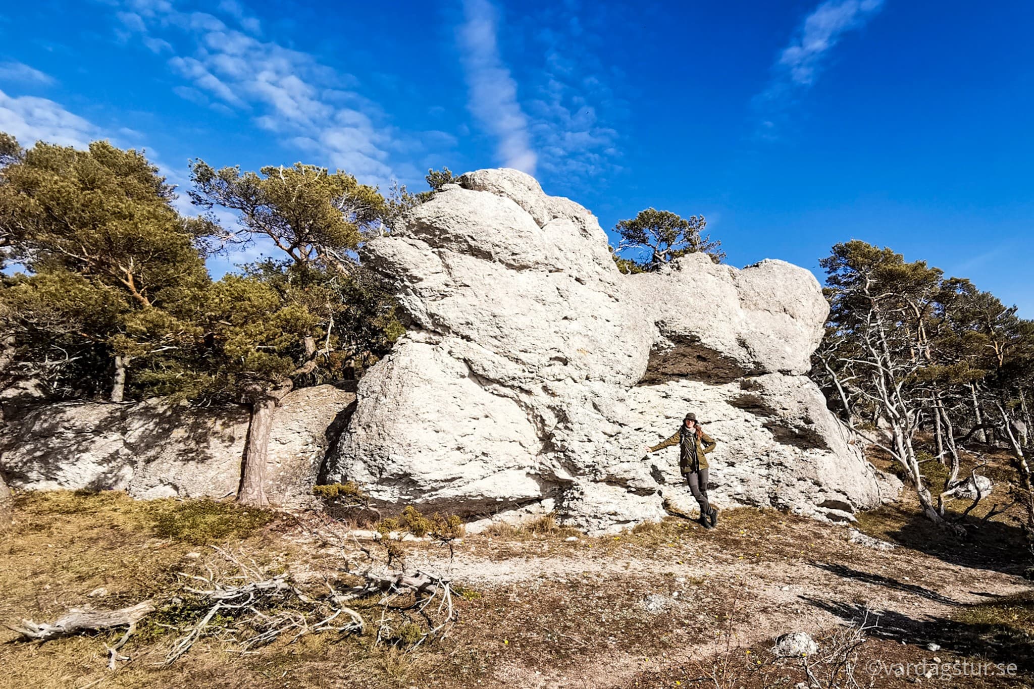 wp-16511687008452140994240365861264