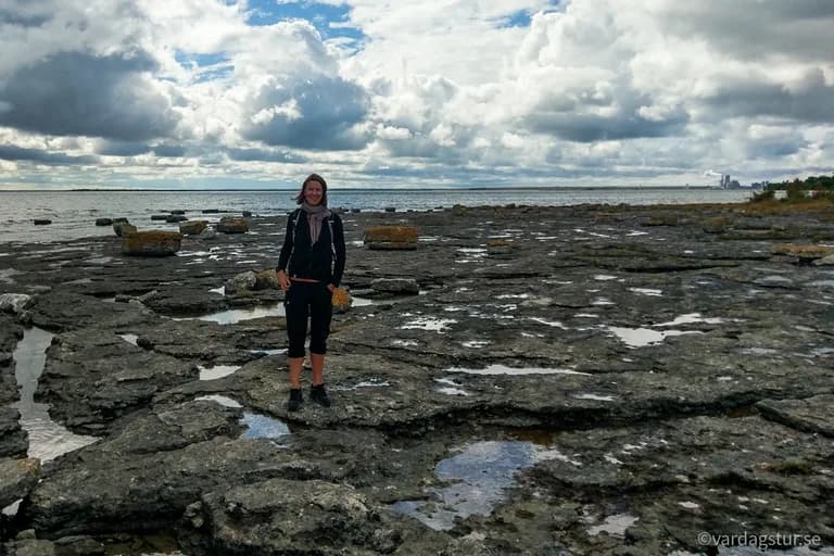 wp-16511687012528732628006263033196