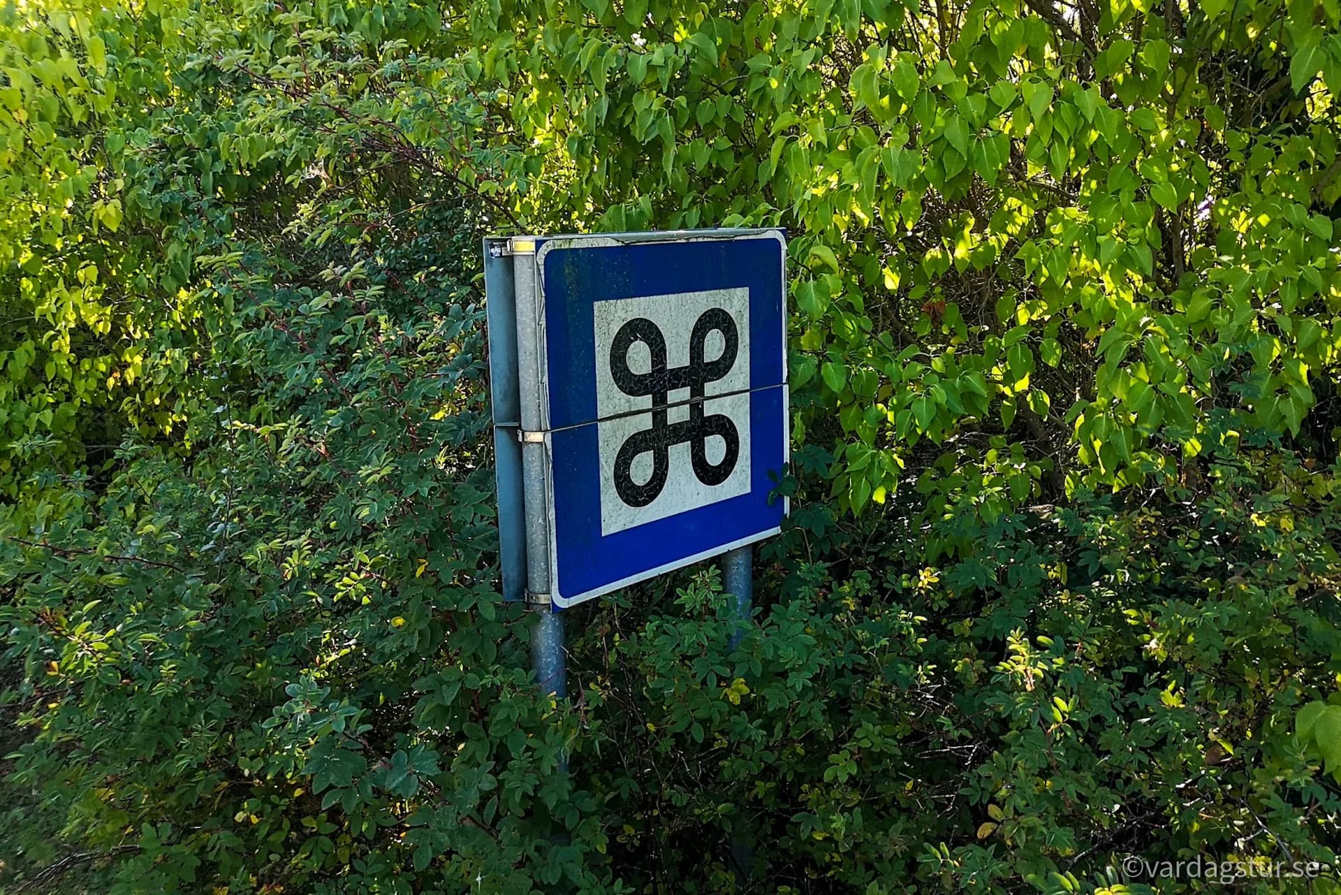 wp-16511687014035365740271355181164