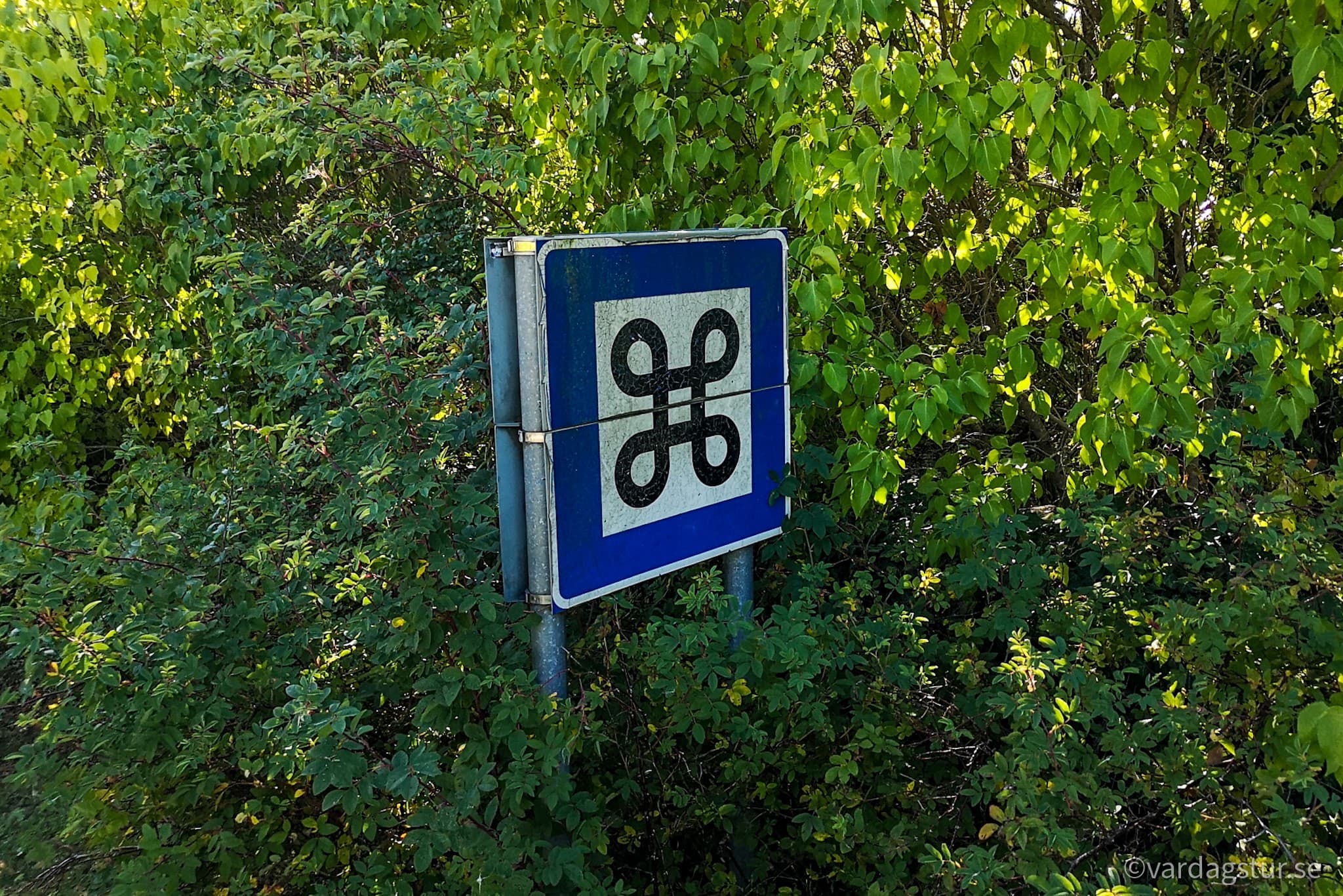 wp-16511687014035365740271355181164