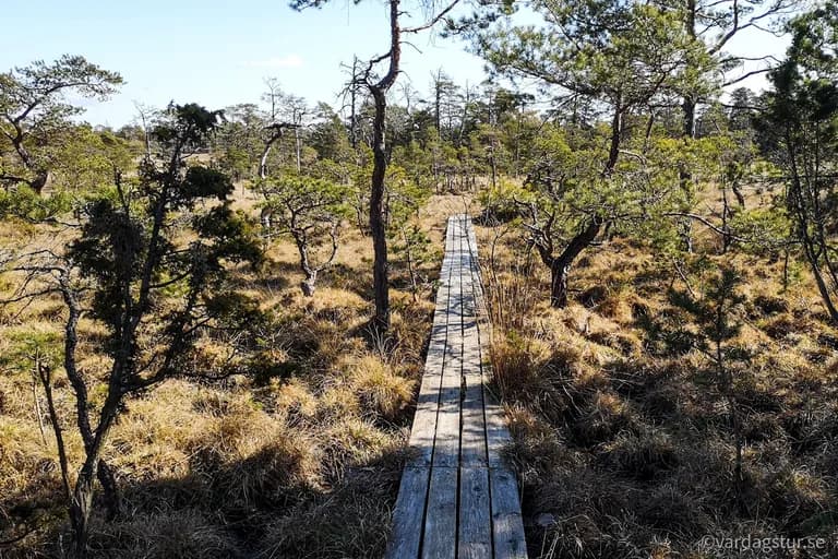 wp-1651168701043188849145565591276