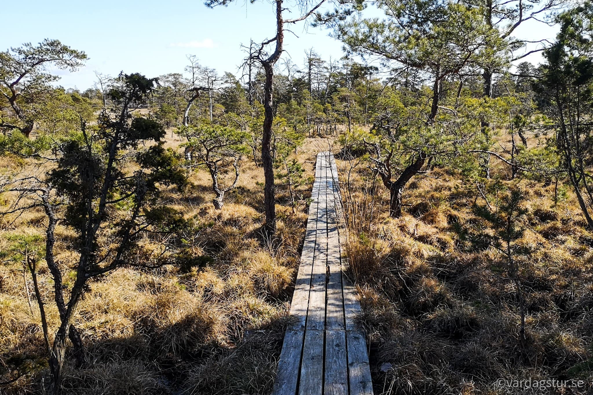 wp-1651168701043188849145565591276