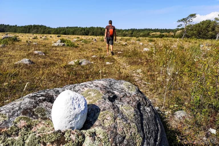 wp-16511755257665901629549862902534