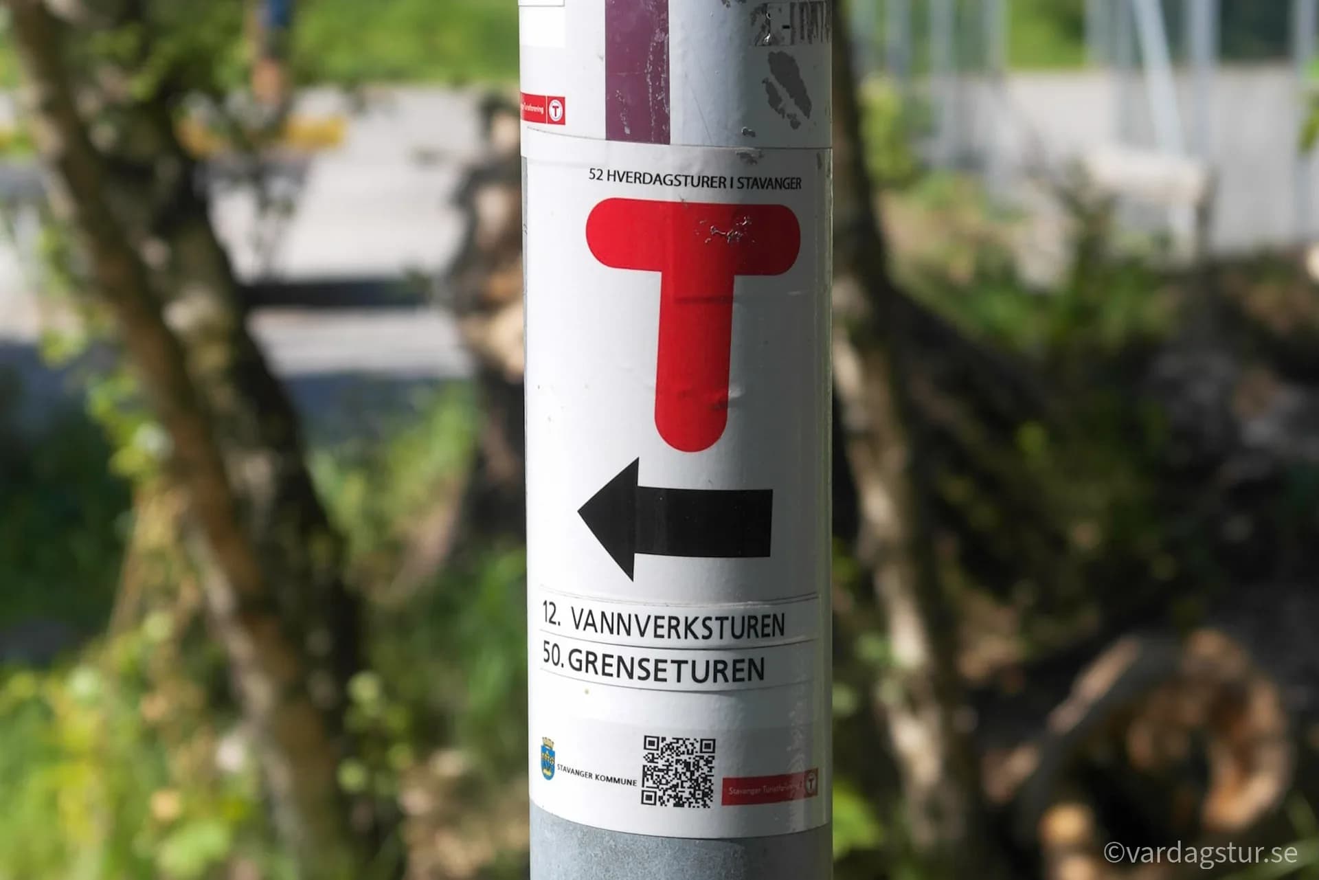 wp-16512431244255965461632444742145