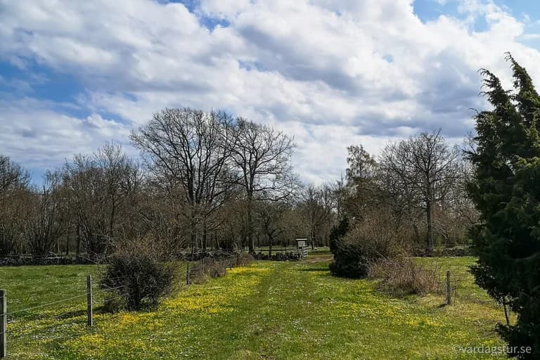 wp-16514988853141078296926367289689