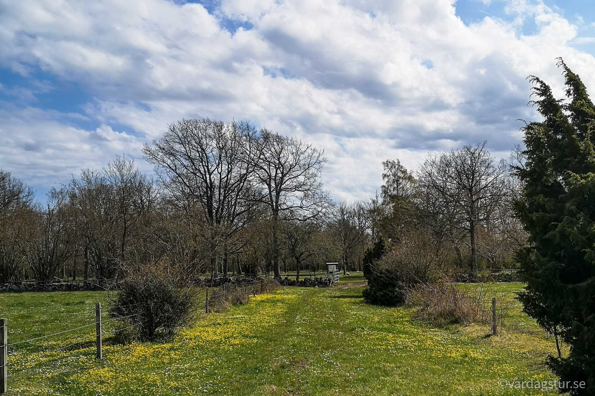 wp-16514988853141078296926367289689