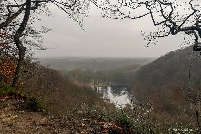 wp-16516680060214134733564546349384