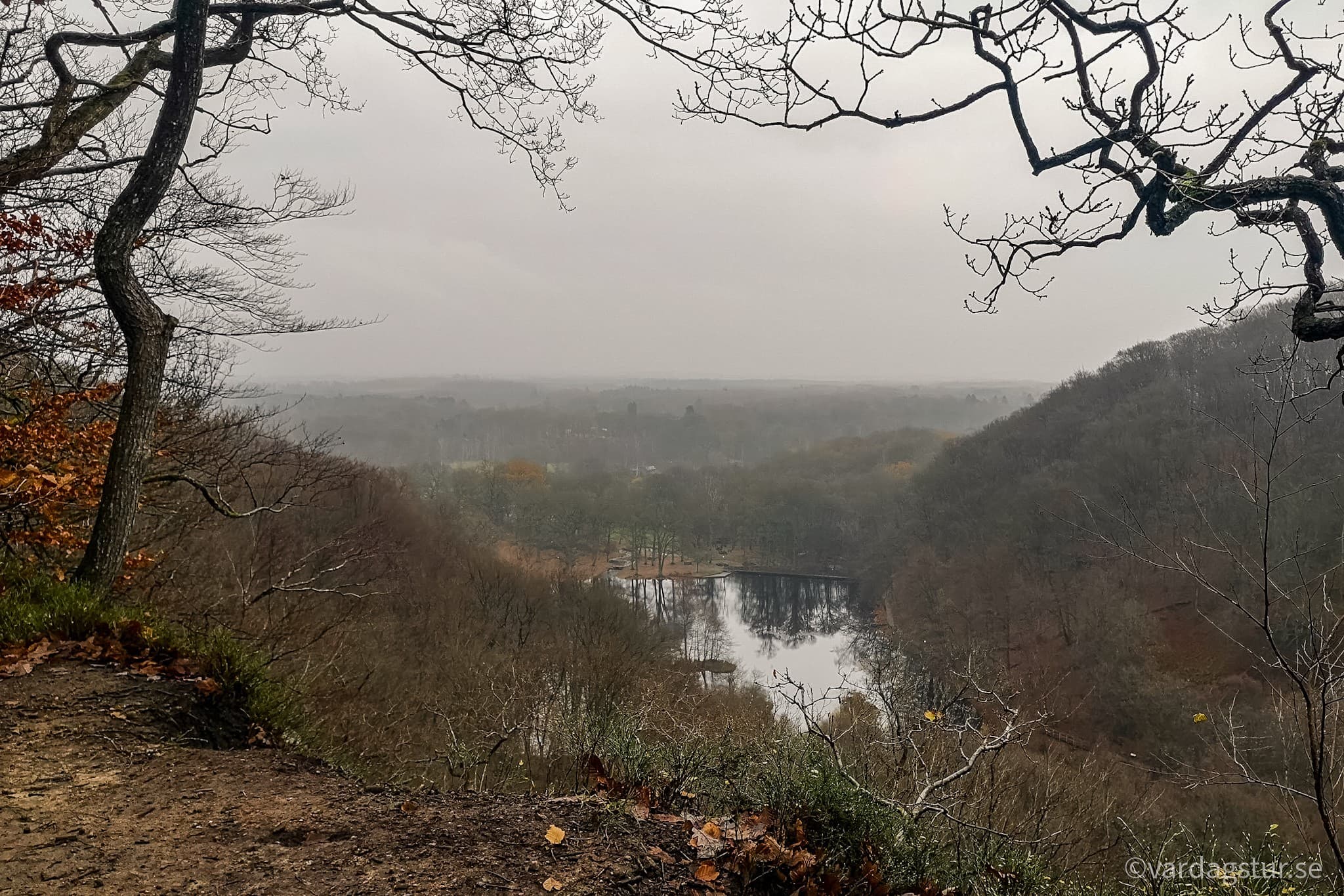 wp-16516680060214134733564546349384