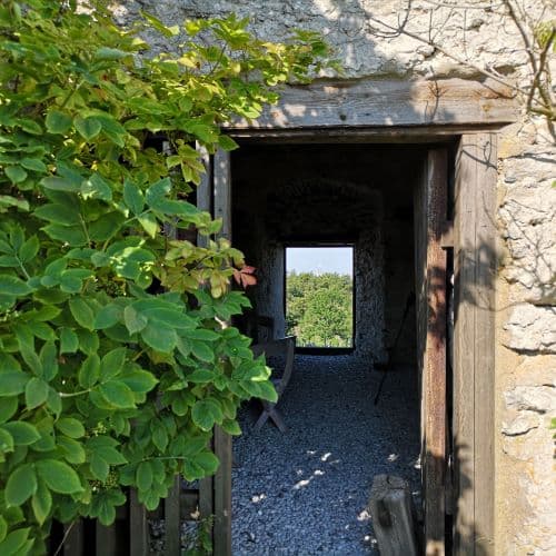 1-IMG_20200720_125652