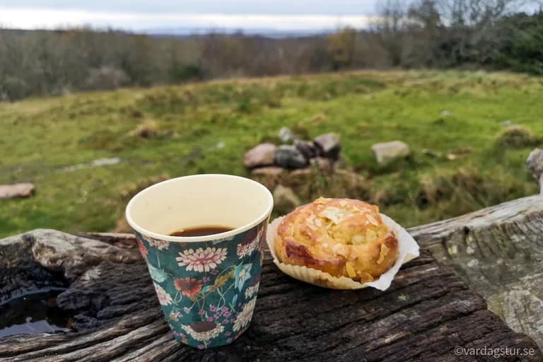 wp-16516680073904494298038087000150