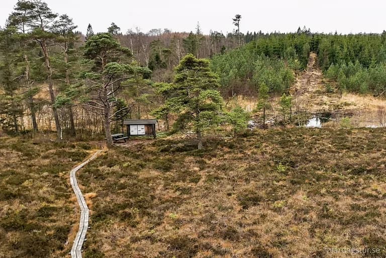 wp-165166800683313989539185764444