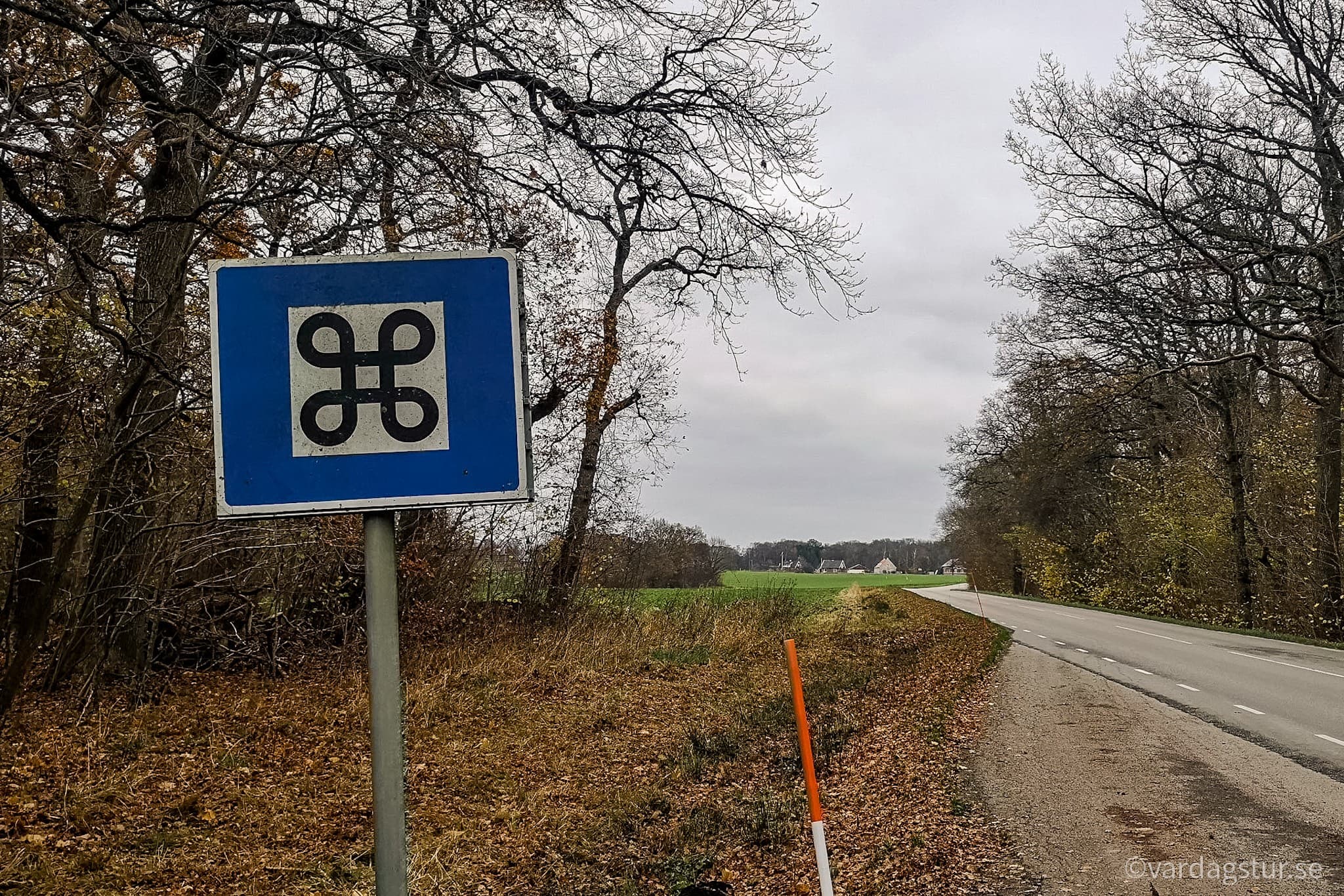 wp-16516680070956242040289530205475