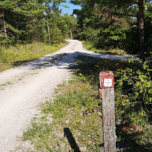 1-IMG_20200720_125811