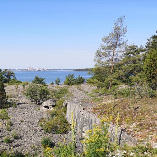 1-IMG_20200720_125854