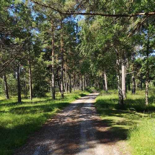 1-IMG_20200720_130112