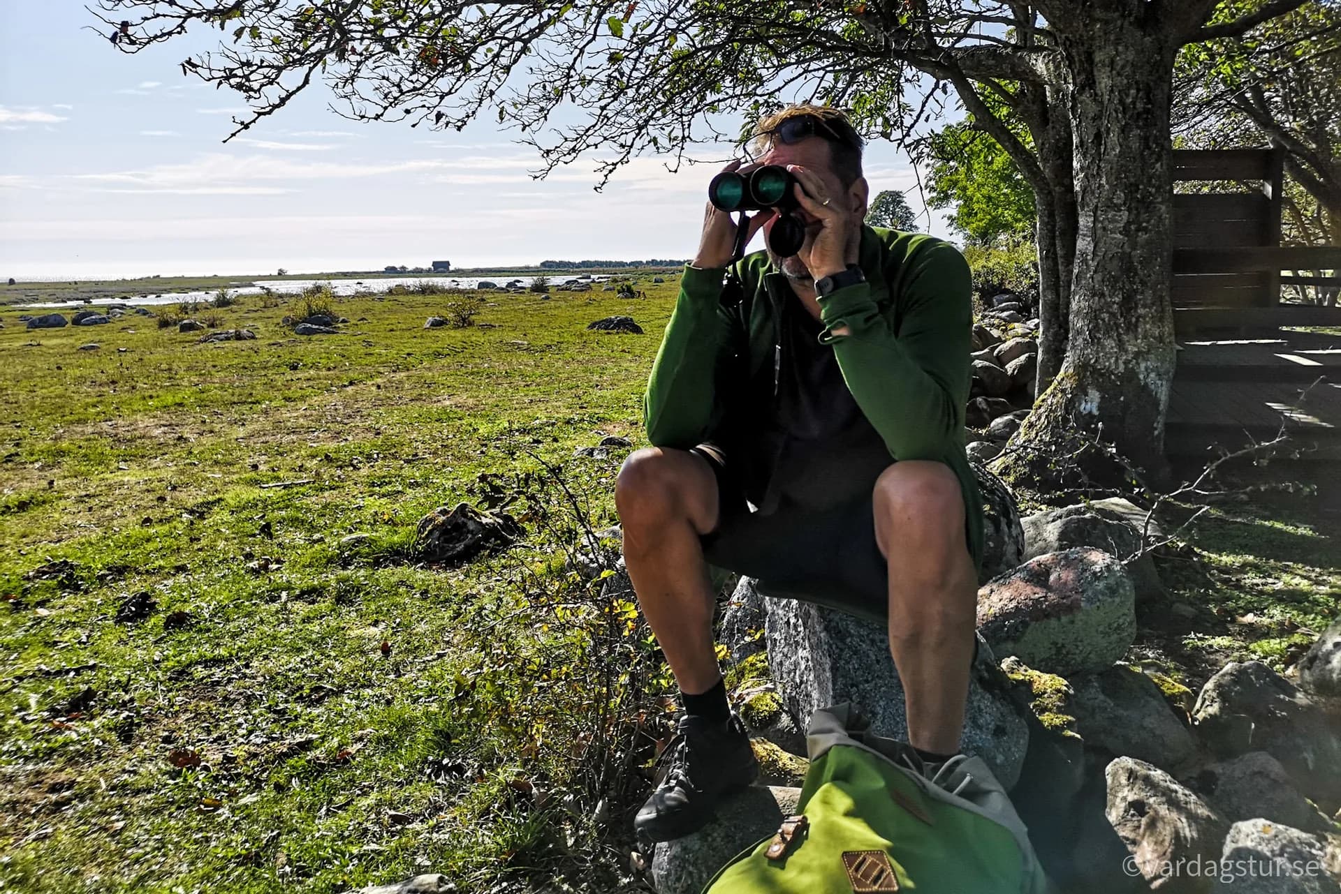 wp-16521133420515878859376269824011