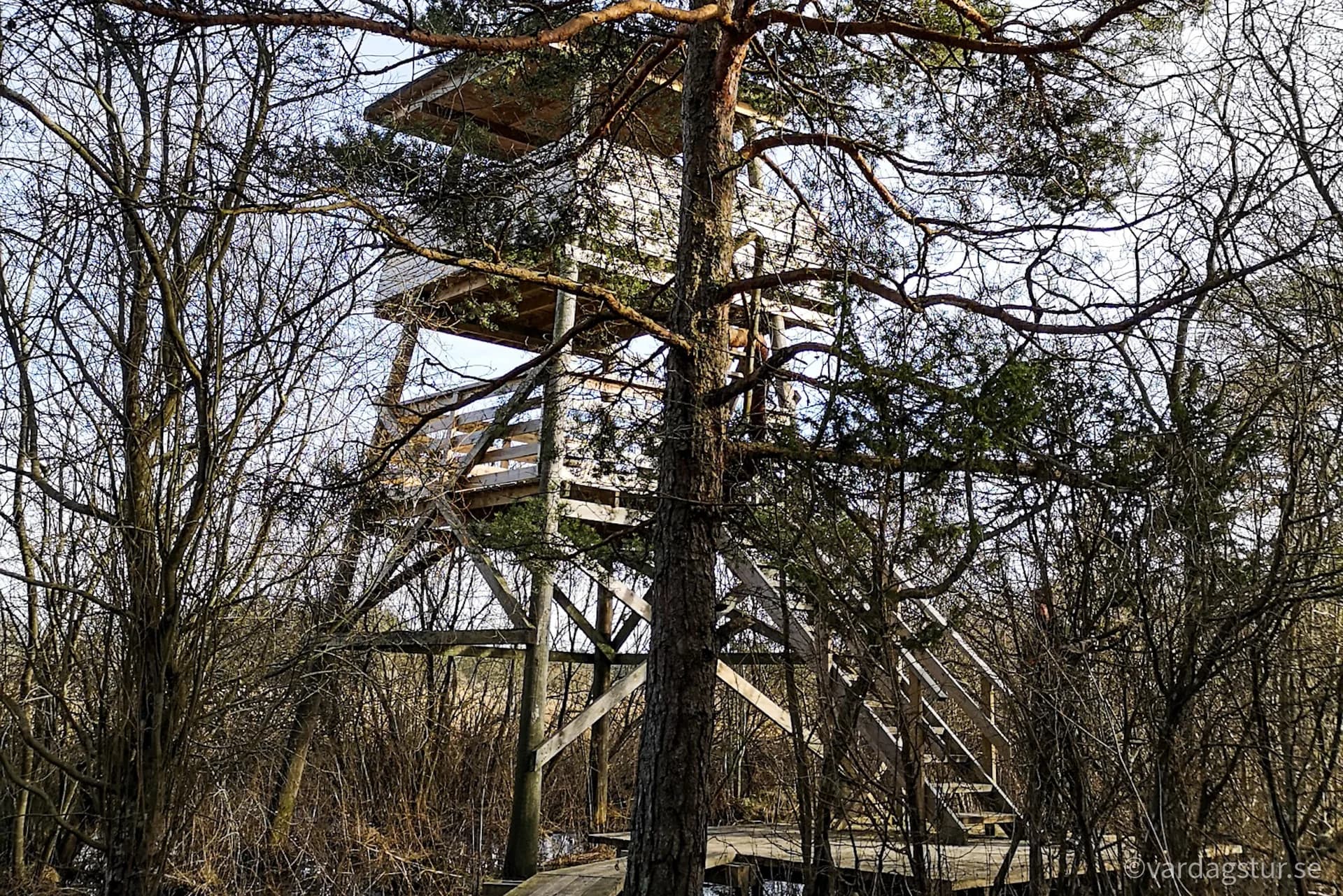 wp-1652113342241724196302171020873