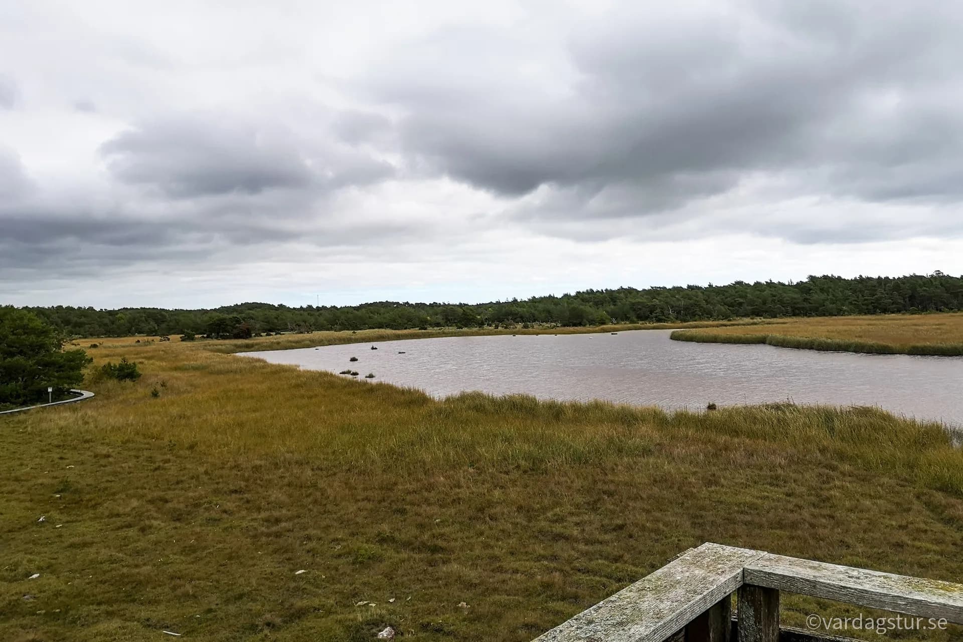 wp-16521157227773812407790530760288