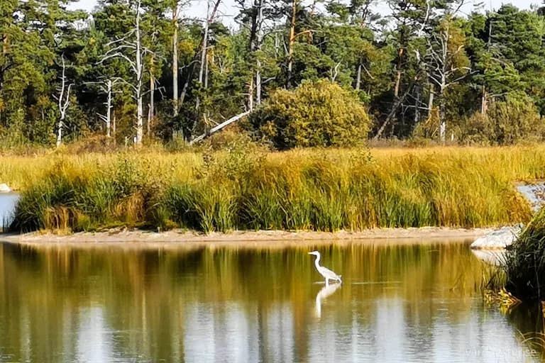 wp-16521182701836712041927707947782