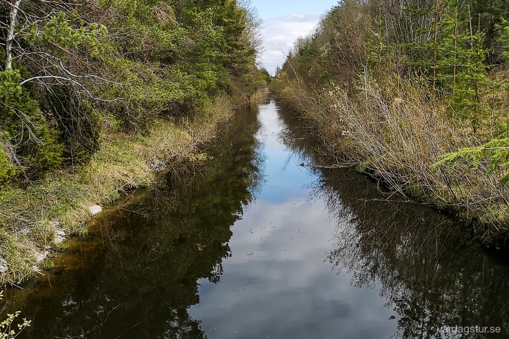 IMG_20220507_140154-2