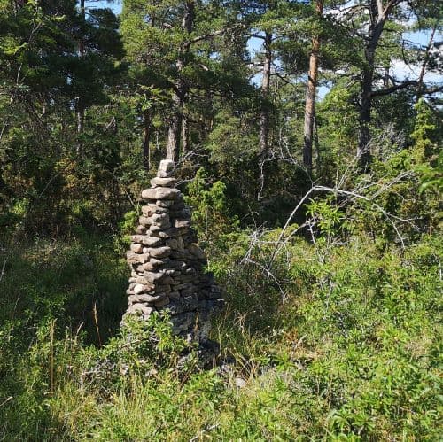 1-IMG_20200720_130524