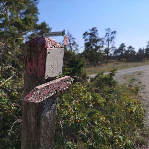 1-IMG_20200720_130603