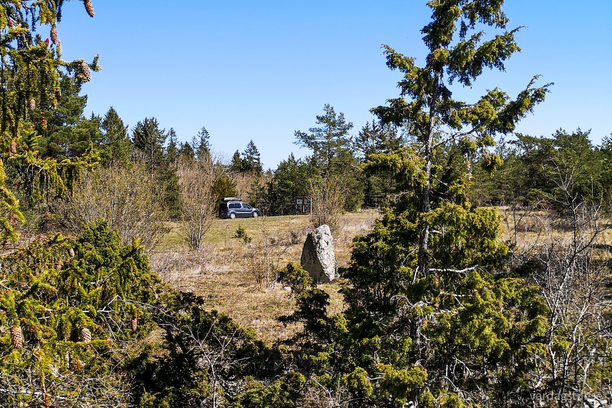 wp-1652717589056889047752429225399