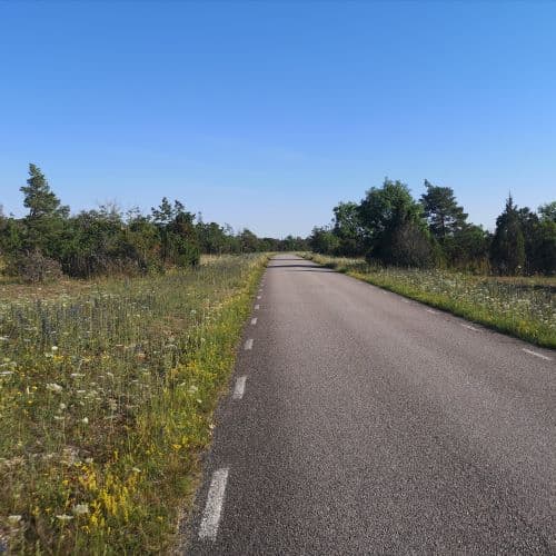 1-IMG_20200720_130645