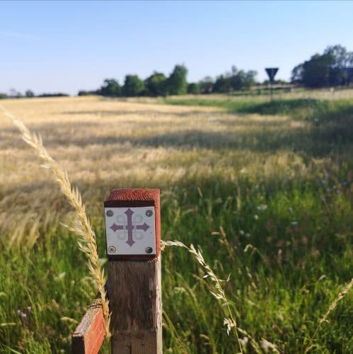 1-IMG_20200720_130722