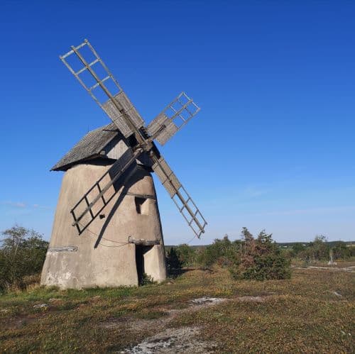 1-IMG_20200720_130748