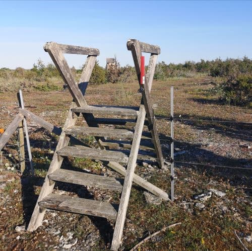 1-IMG_20200720_130827