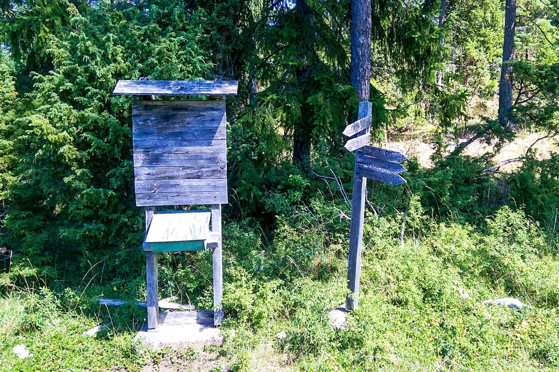 wp-16531447306891516970903887533941