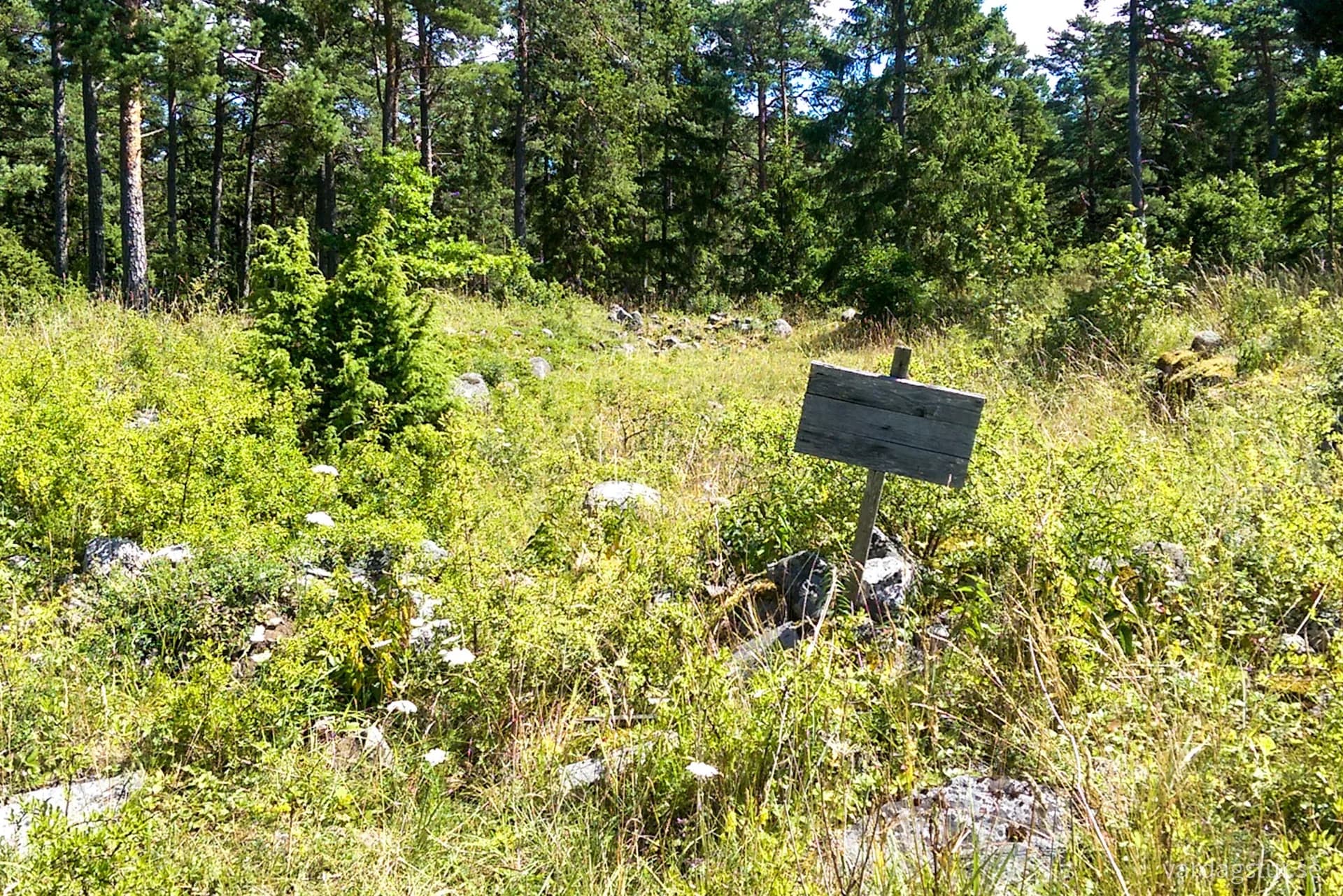 wp-16531447309497168823269777498624