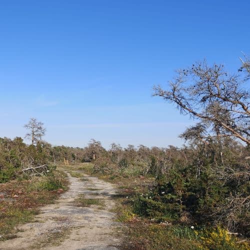 1-IMG_20200720_130846