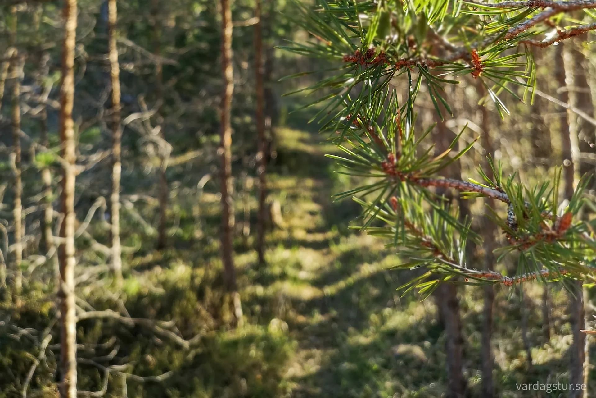 wp-16532070212654103121683038793256