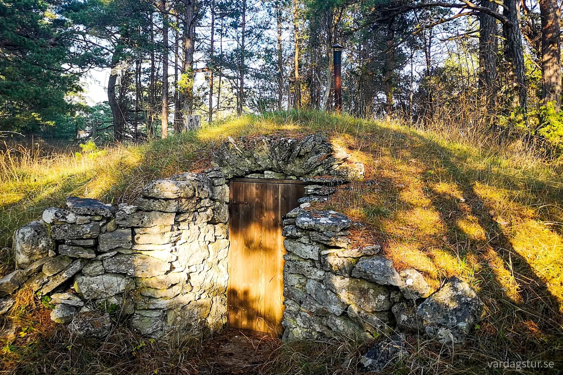 wp-16534786953073526098117389077210