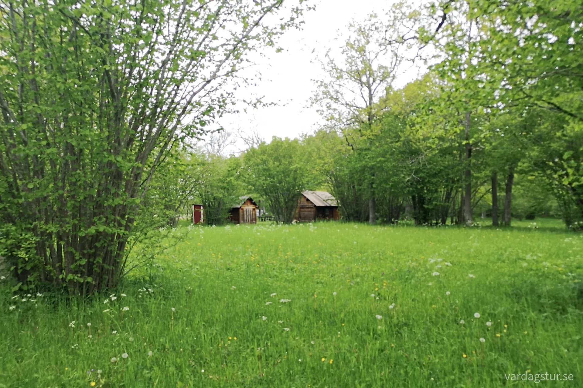 wp-16534808624509097585934503773681