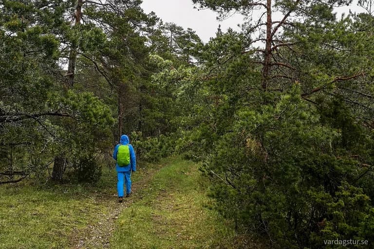 wp-16534847100535280157837797522405