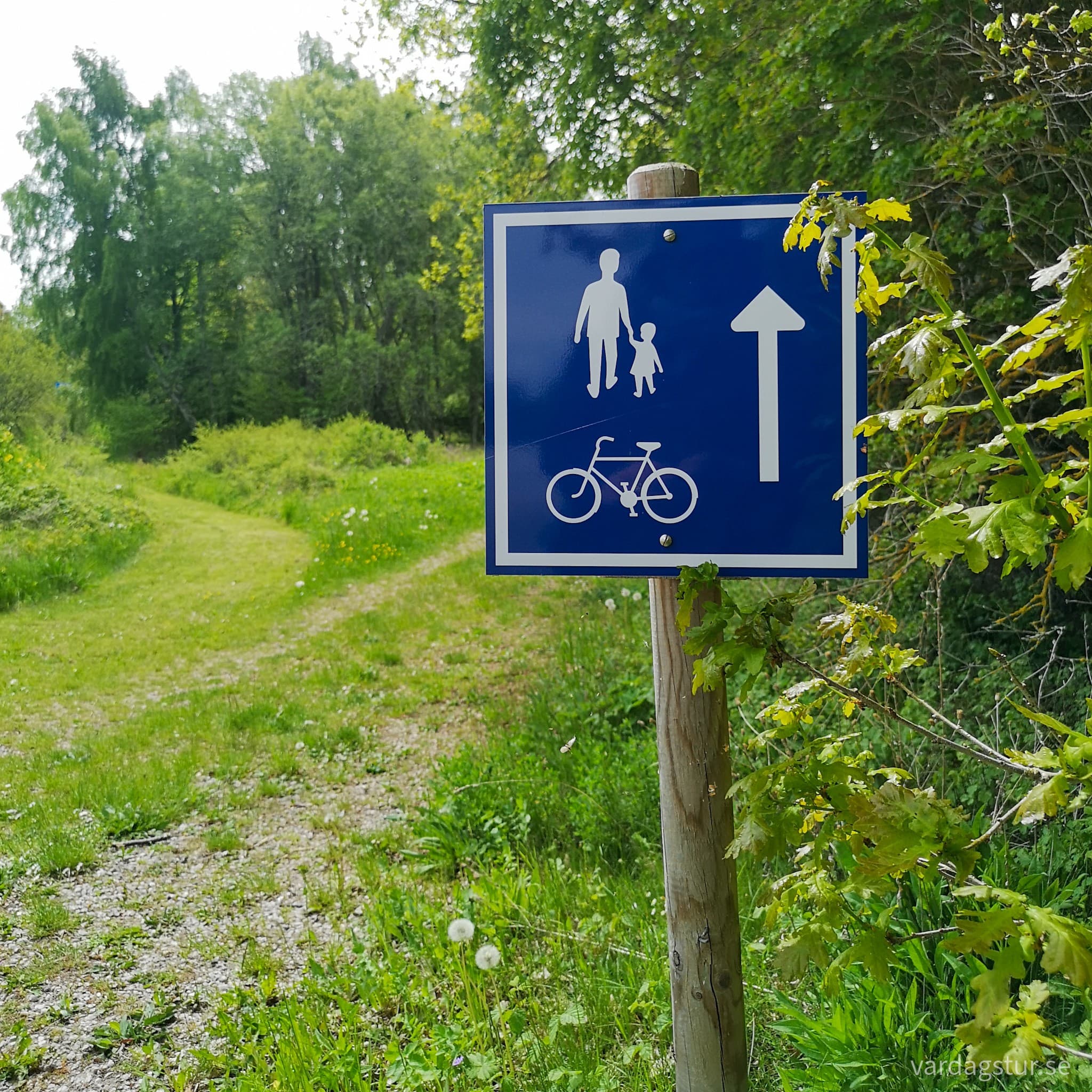 wp-16542508947609201594693523707382