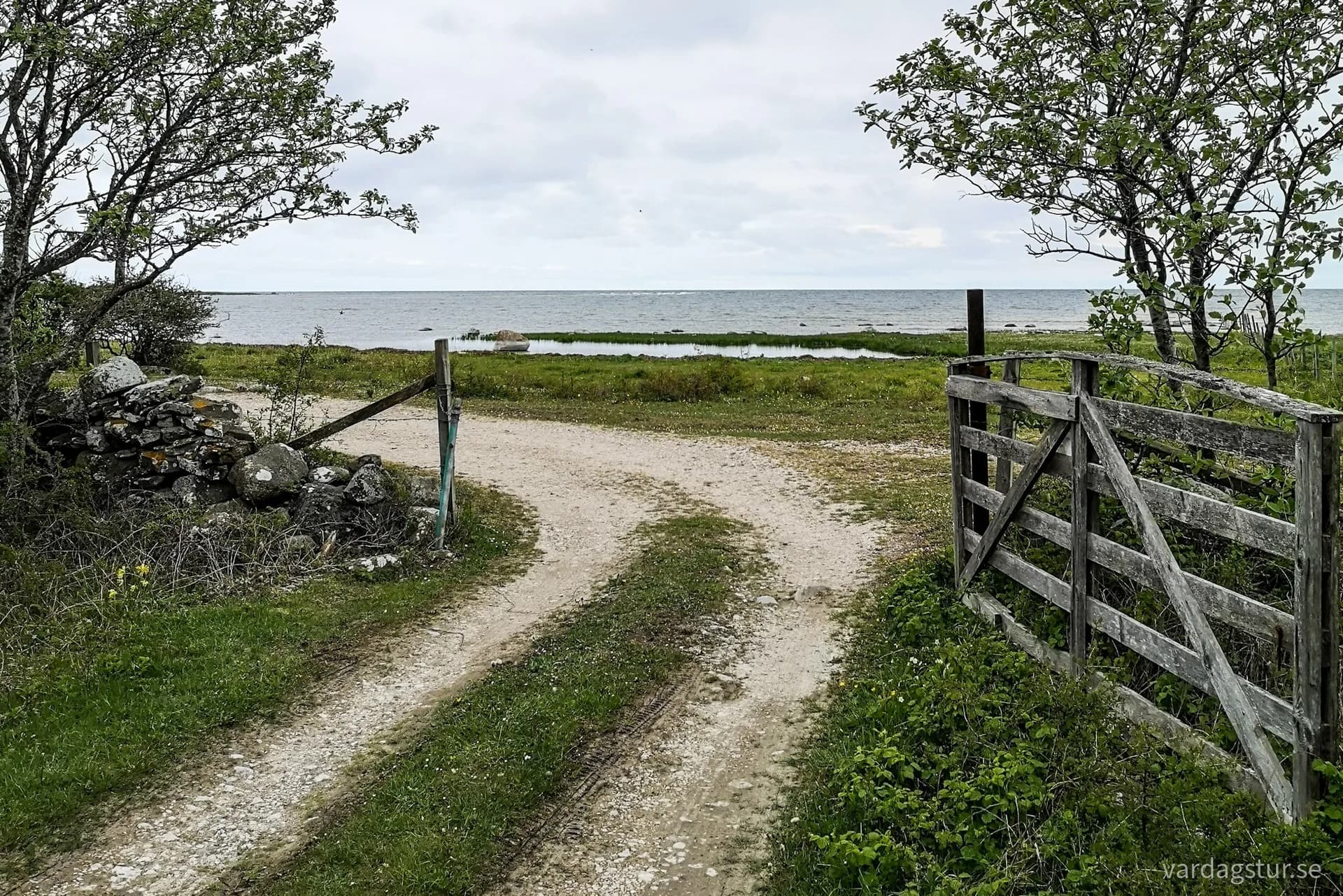 wp-16544353613004222128697916770950