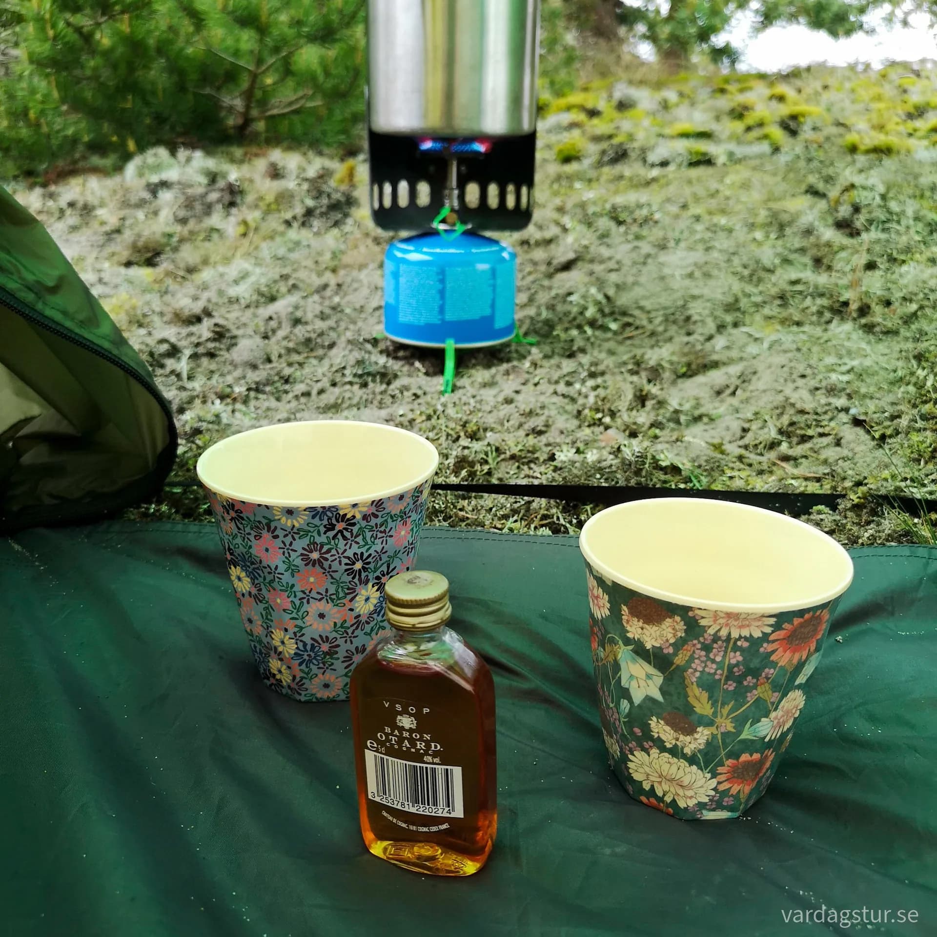 wp-16544371003326160203080557101649