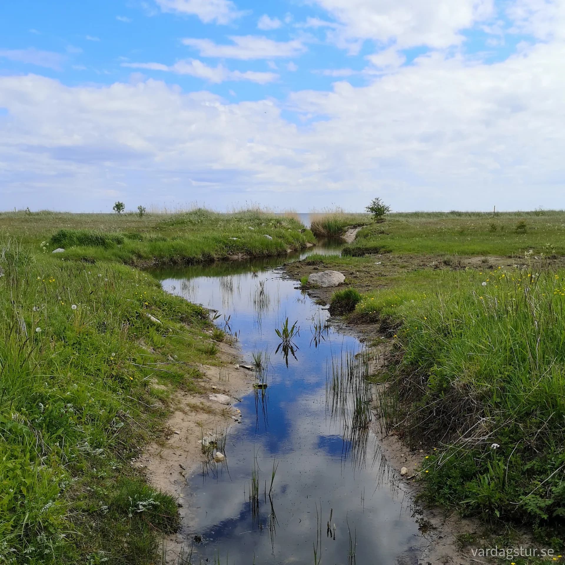 wp-16547099873818748887649053642510