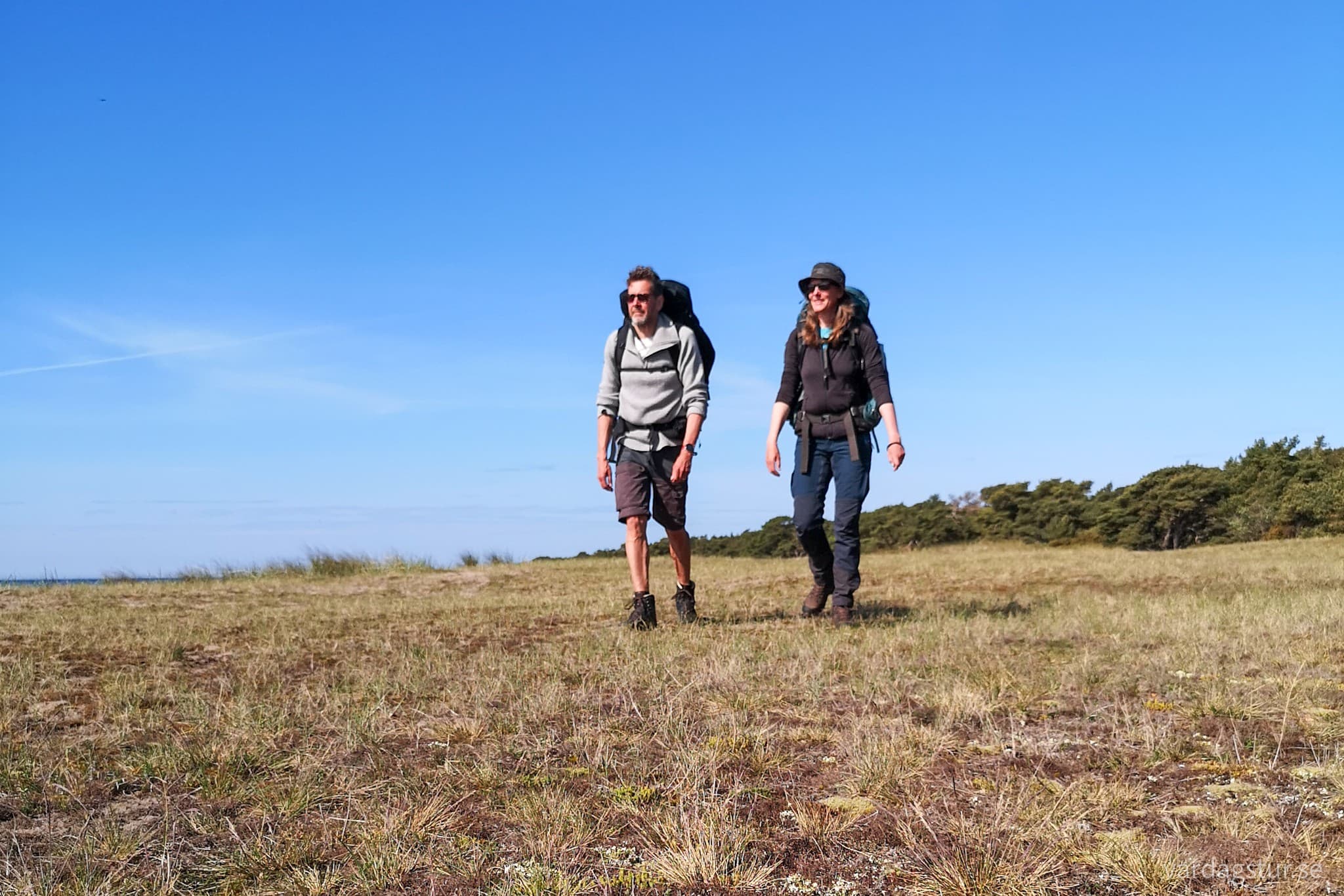 wp-16547124552962361400799543246297